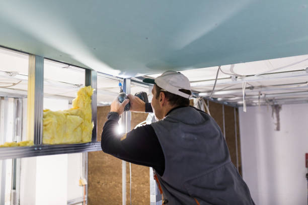 Best Specialized Insulation Services in Conover, NC